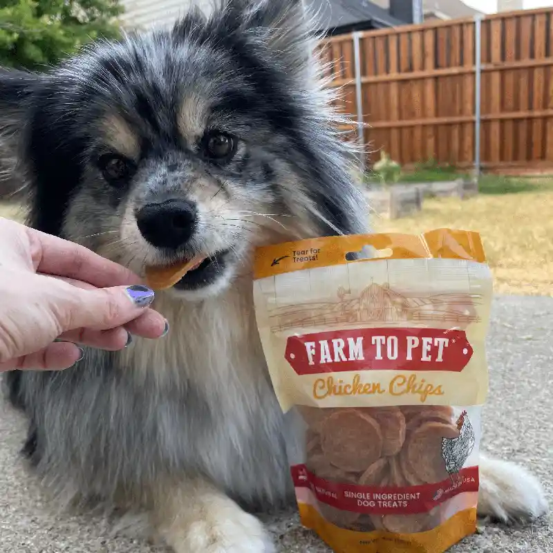 Farm to Pet Chicken Chips 12oz
