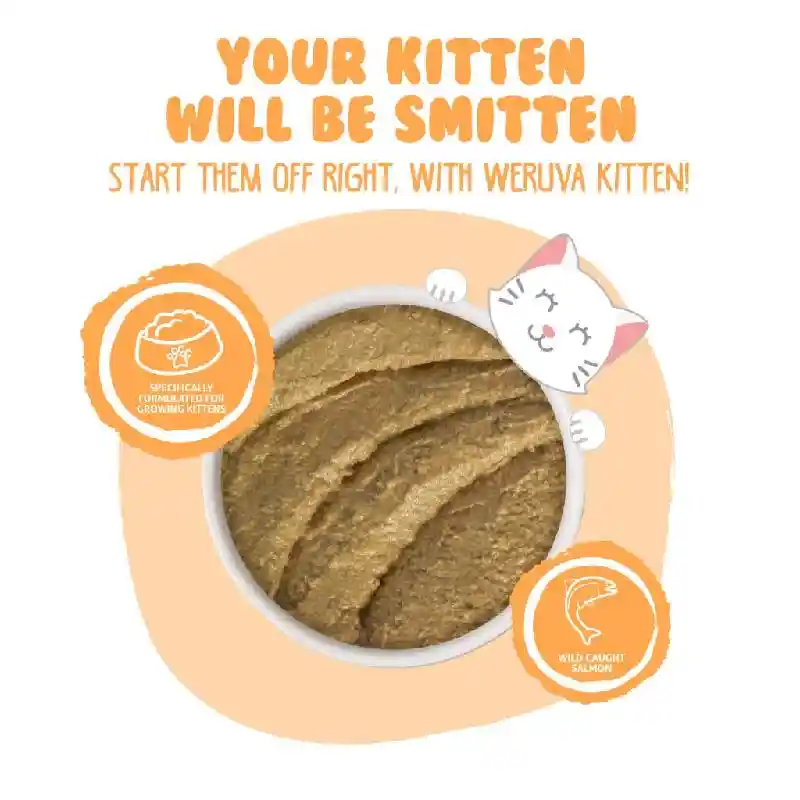 Weruva Kitten Can 3 Oz Tuna Salmon Puree 12/tr