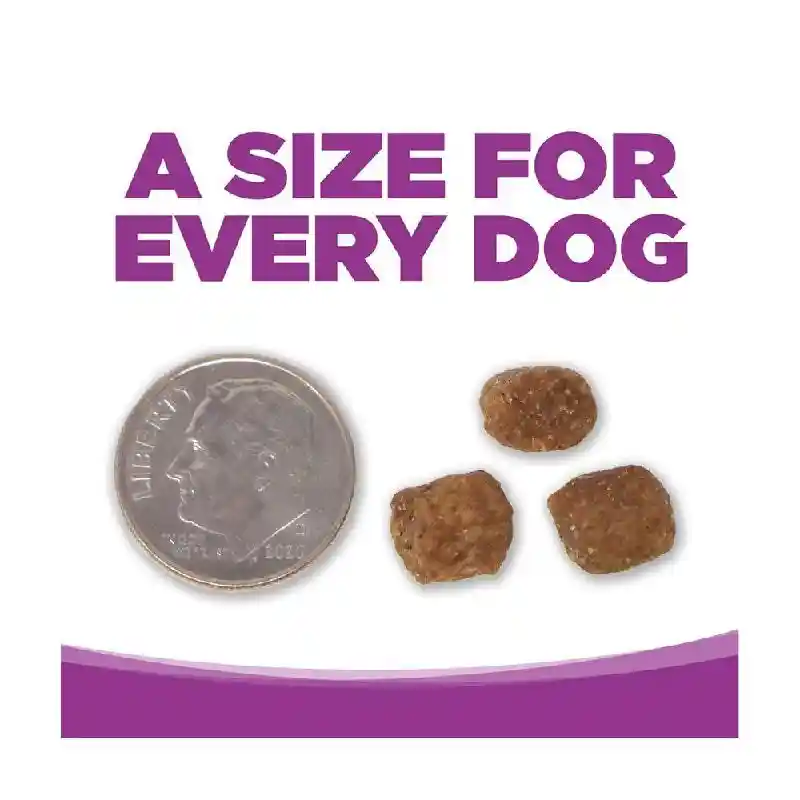 Nutrisource Puppy Large Breed Chicken & Rice 26-lb