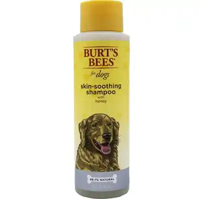 Fet Shmp Burts Bees Itch 16oz