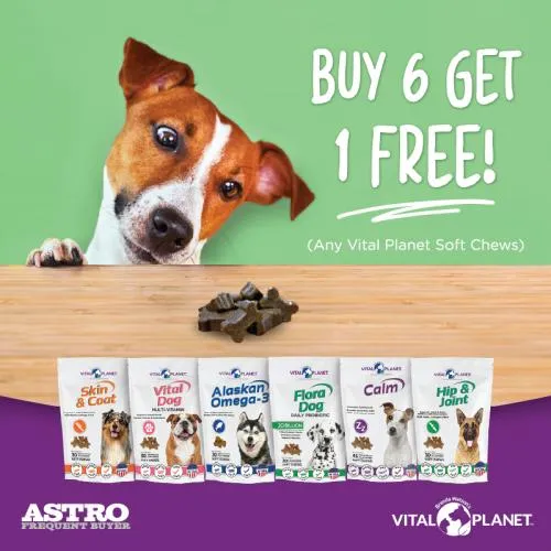 Promotion Image
