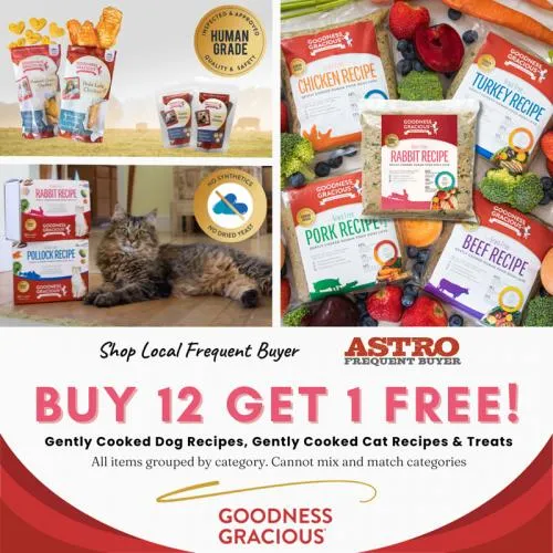 Promotion Image