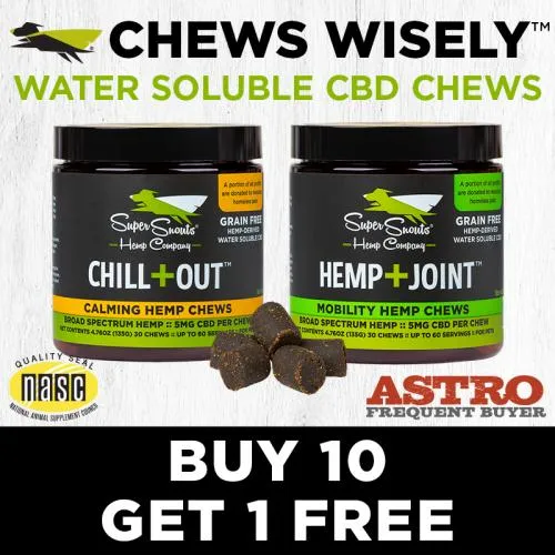 Promotion Image