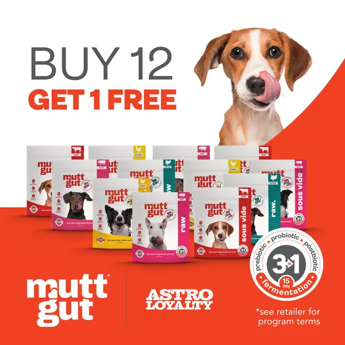 Promotion Image