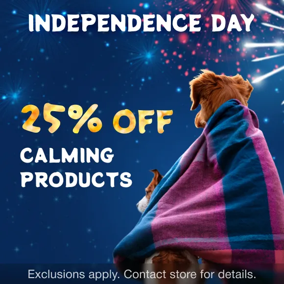 Promotion Image