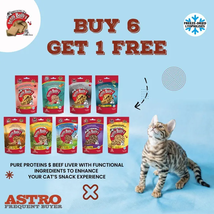 Promotion Image