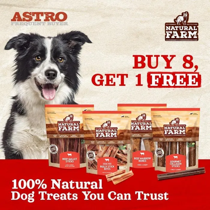 Promotion Image