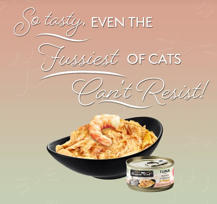 Fussie Cat Tuna/Prawn Gravy 2.82oz
