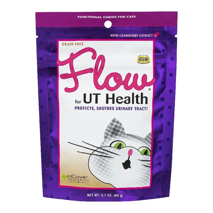 IC Cat UT Health