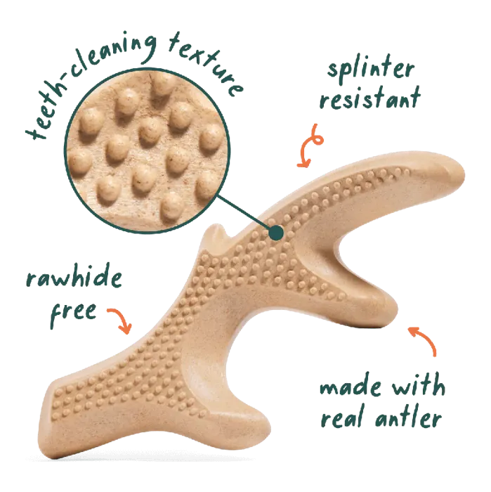 Woof Toy Honestchew Antler LG