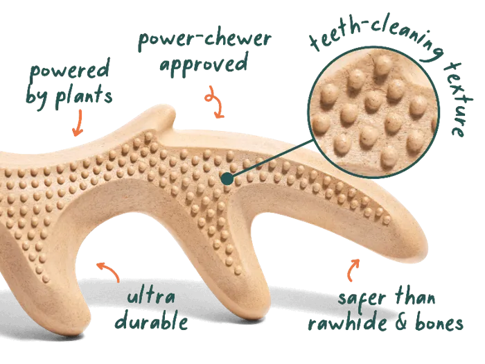 Woof Toy Honestchew Antler LG