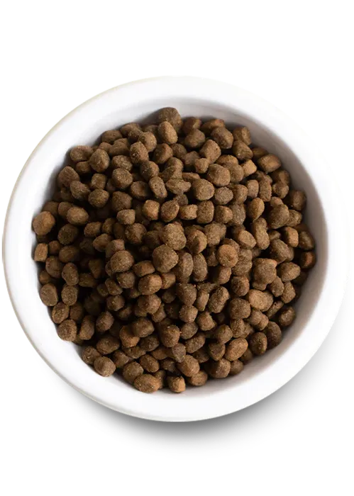 Open Farm Dog Ancient Grain Beef 4#