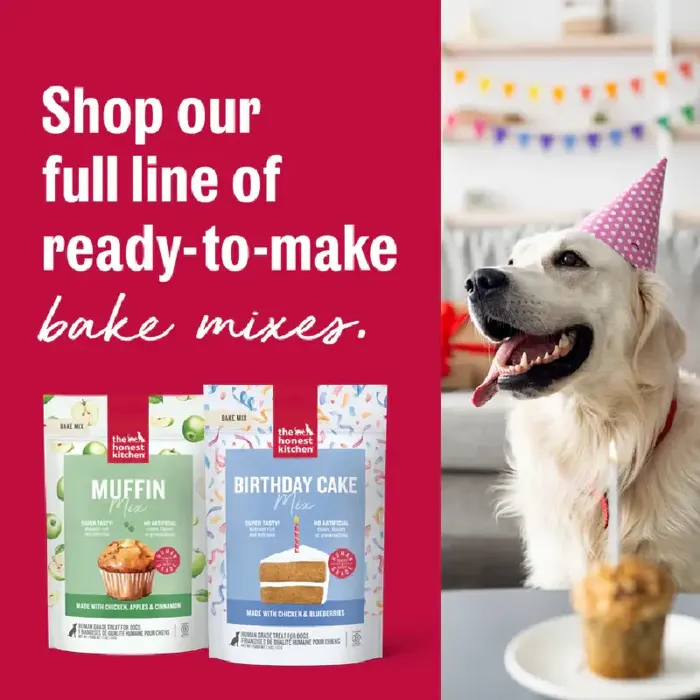 Hon Kit Birthday Cake Mix Chicken & Blueberries