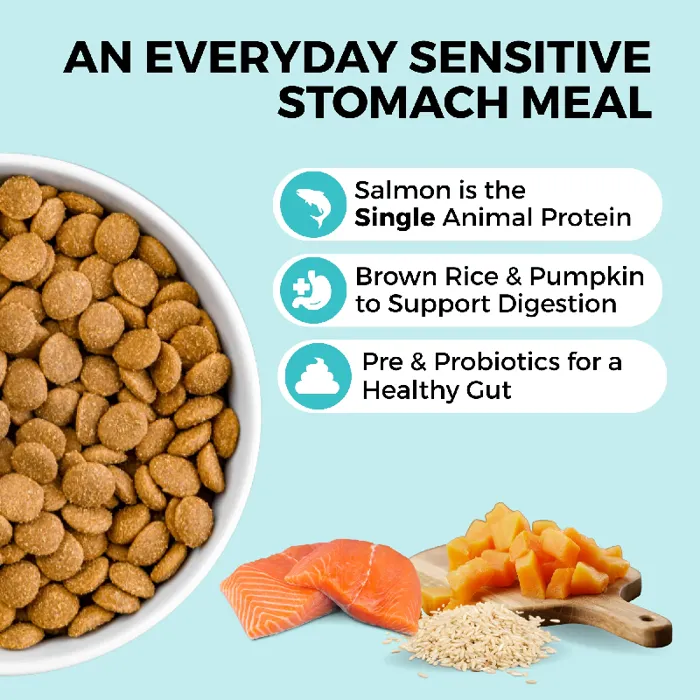 Koha Dog Bland Diet Salmon 20#