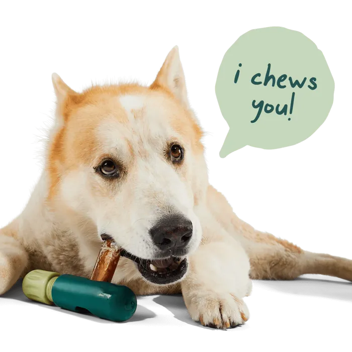 Woof Bullysafe Chew Holder