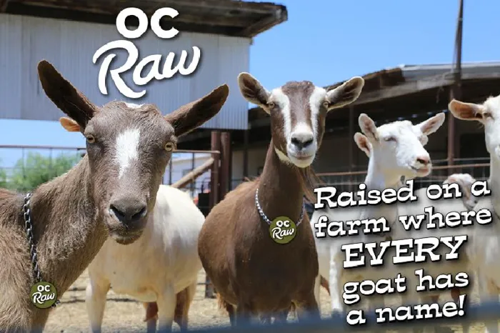 Oc Froz Raw Goats Milk - Pint