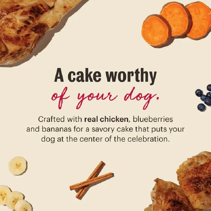 Hon Kit Birthday Cake Mix Chicken & Blueberries