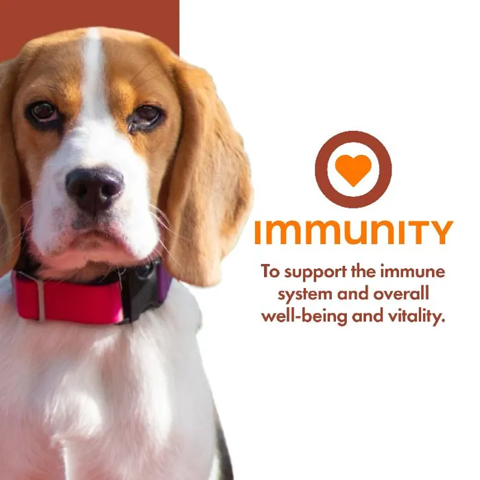 Fromm Treat Functional Immunity 6oz