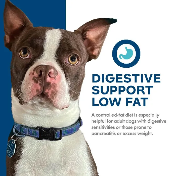 Fromm Nutritionals Digestive LF Chick/oat 12#