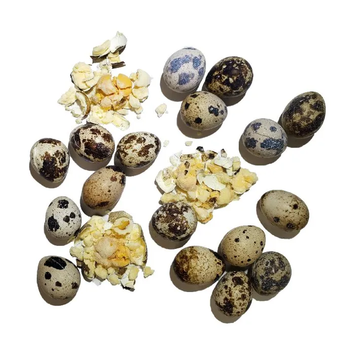 Arya! Sit Freeze Dried Quail Egg Yolk - 5oz